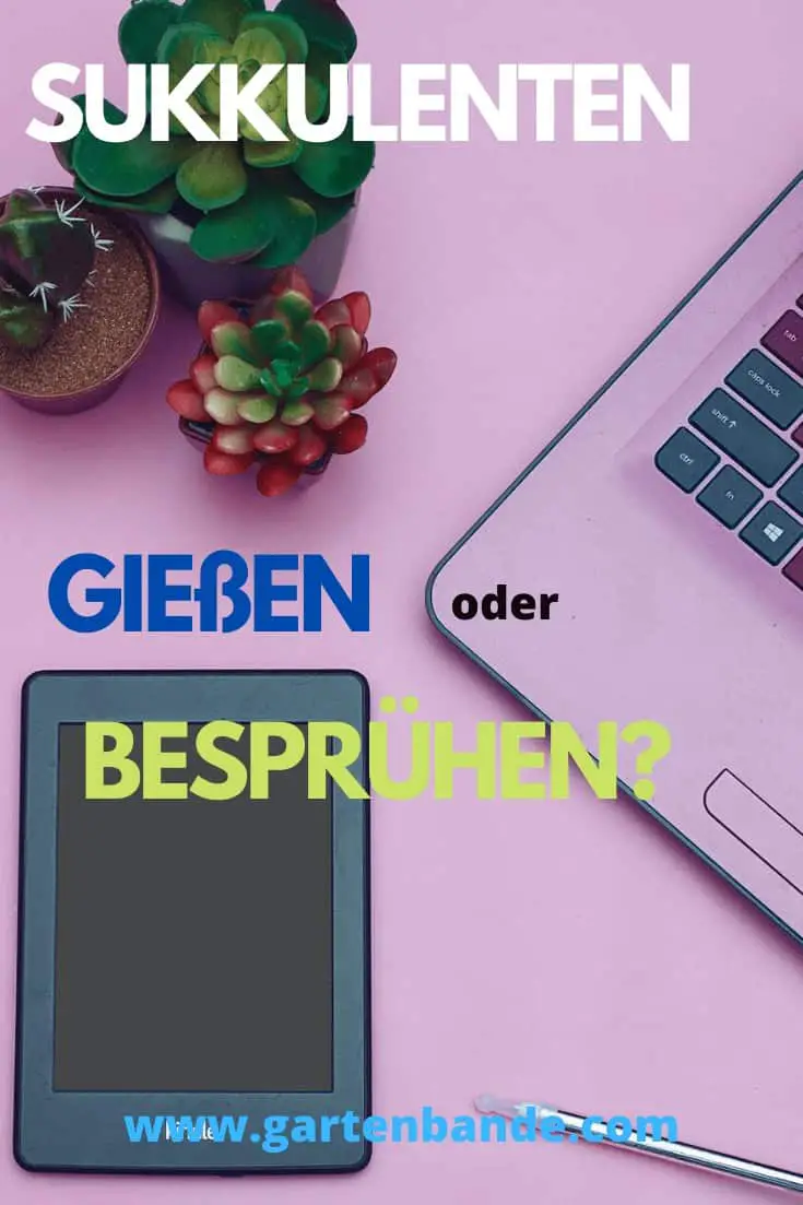 Sukkulenten gießen oder besprühen >> Welche Methode ist besser?